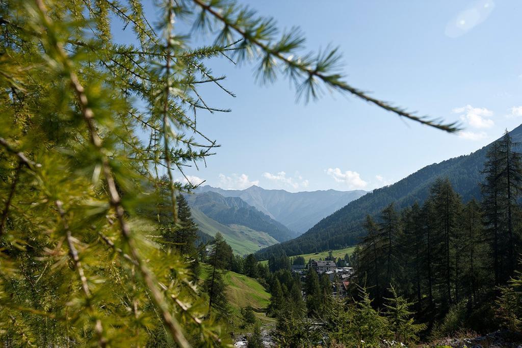 Hotel Des Alpes ザムナウン エクステリア 写真